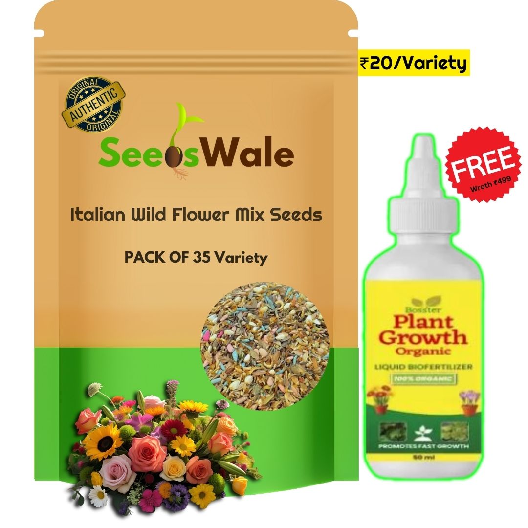 Italian Wild Mix Flower Seeds Pack + Free Plant Growth Booster