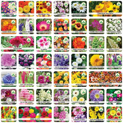 Italian Wild Mix Flower Seeds Pack + Free Plant Growth Booster